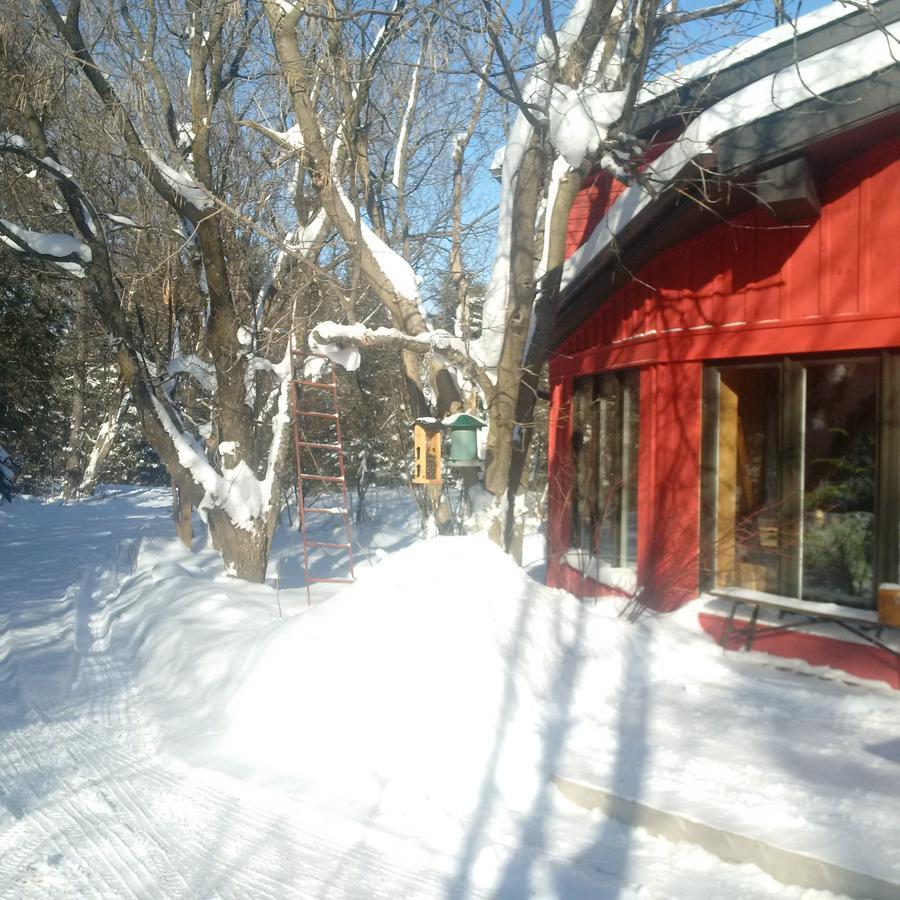 The Retreat House Blue Mountain Hotel Blue Mountains Buitenkant foto