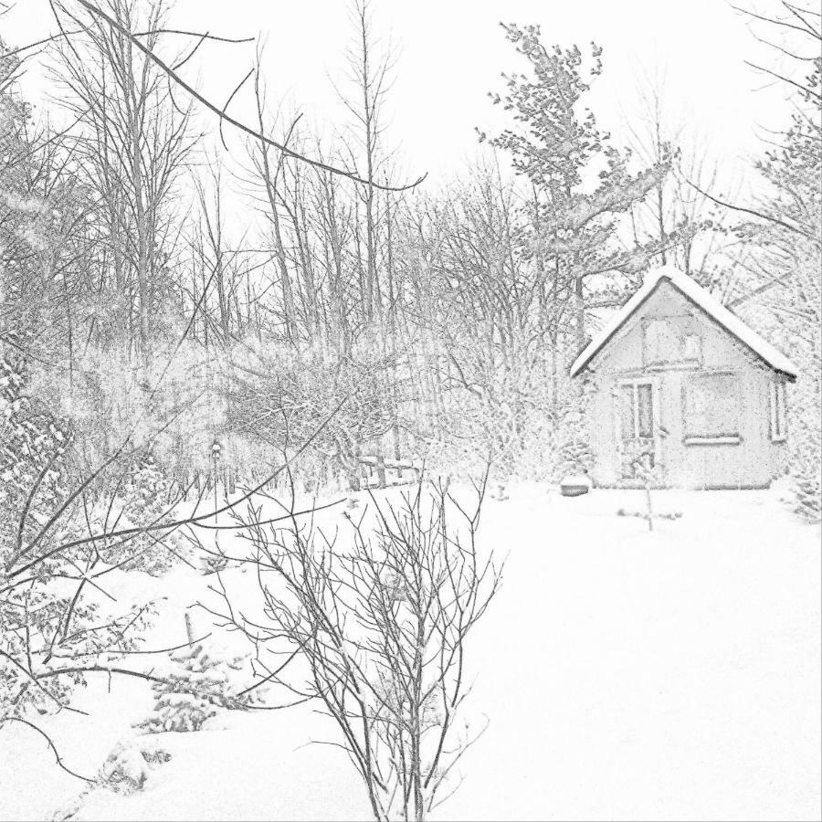 The Retreat House Blue Mountain Hotel Blue Mountains Buitenkant foto